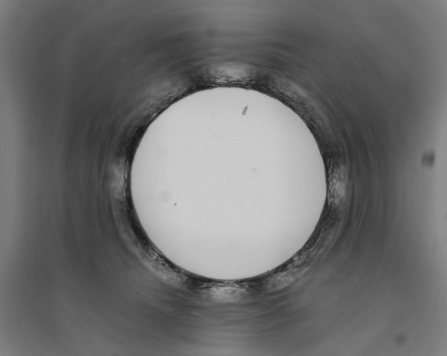 X0000094360468200711301429
