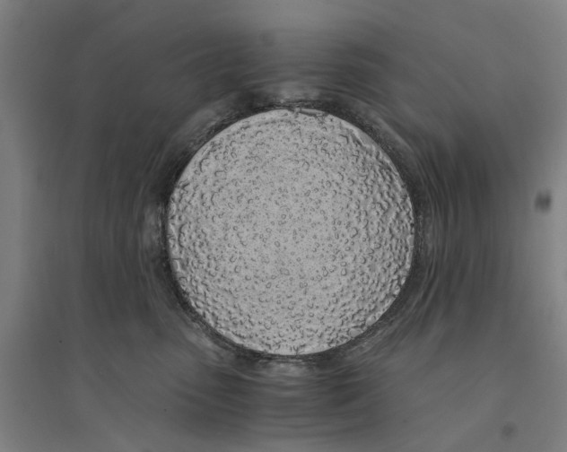 X0000094360475200711301429