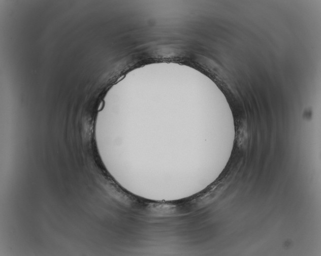 X0000094360476200711301429