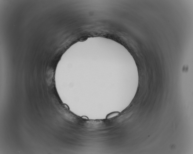 X0000094360480200711301429