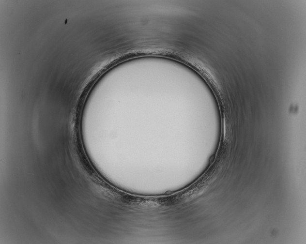 X0000094360483200711301428