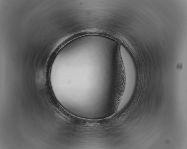 X0000094360484200711301428