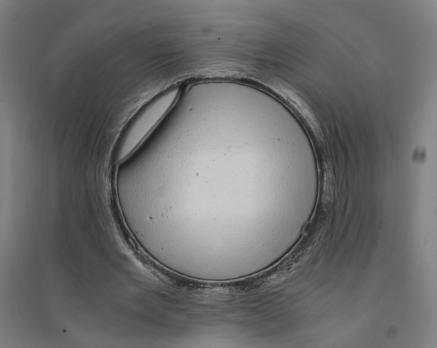 X0000094360485200711301428