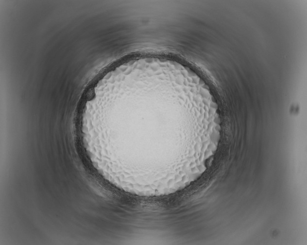 X0000094360487200711301428