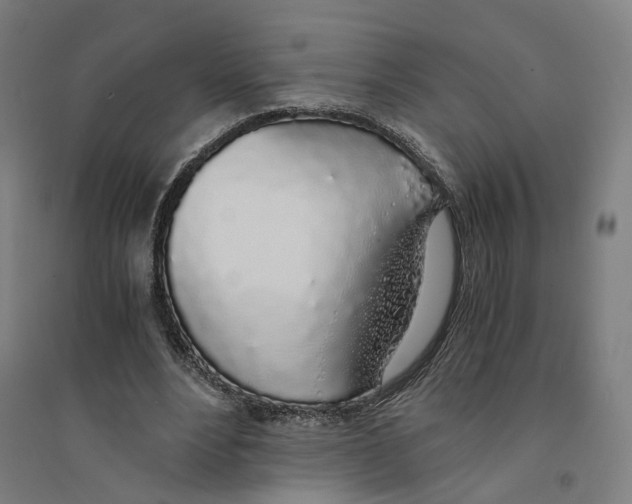 X0000094360488200711301428