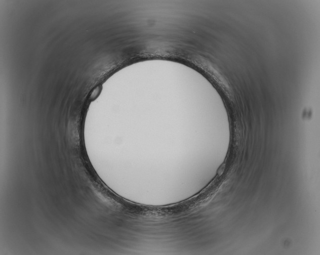 X0000094360489200711301428