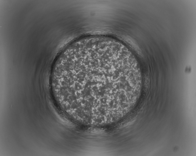 X0000094360491200711301428