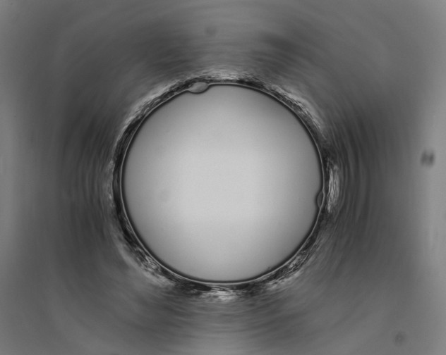 X0000094360492200711301428