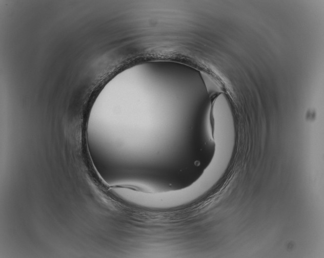 X0000094360493200711301428