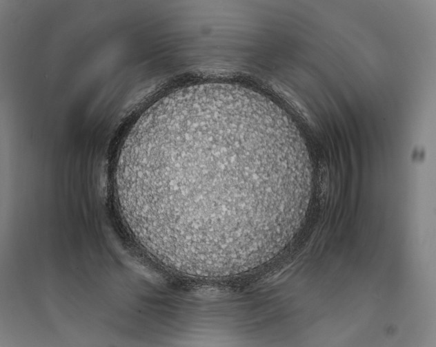 X0000094360494200711301428