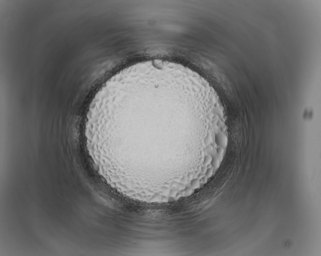 X0000094360495200711301428