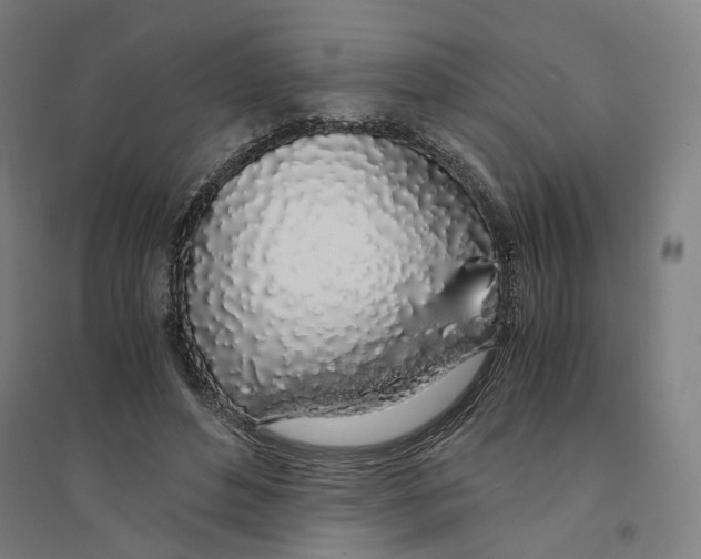 X0000094360496200711301428