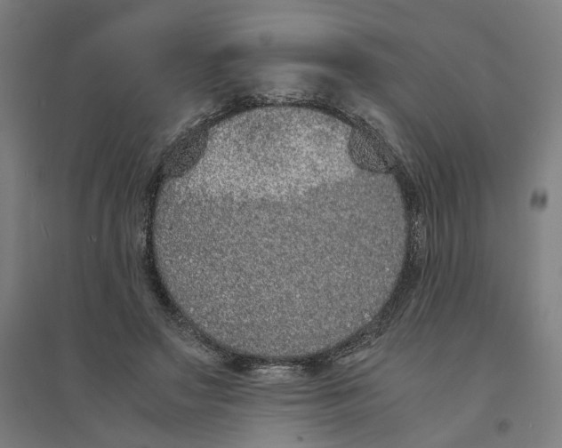 X0000094360499200711301428