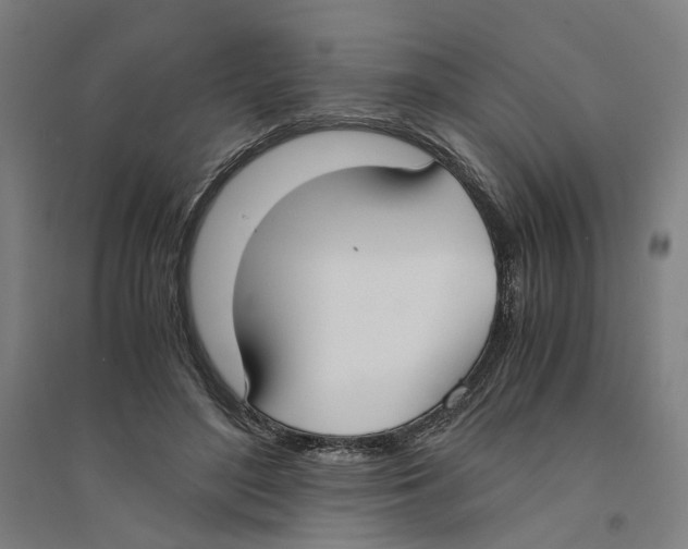X0000094360500200711301428
