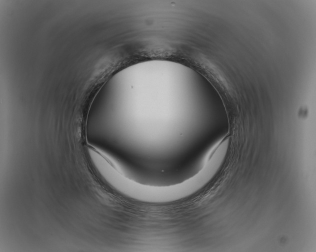 X0000094360501200711301428