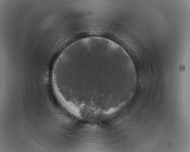 X0000094360502200711301428