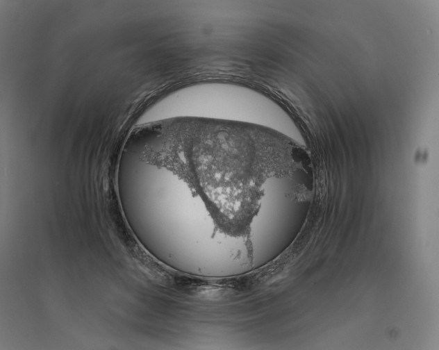 X0000094360504200711301428