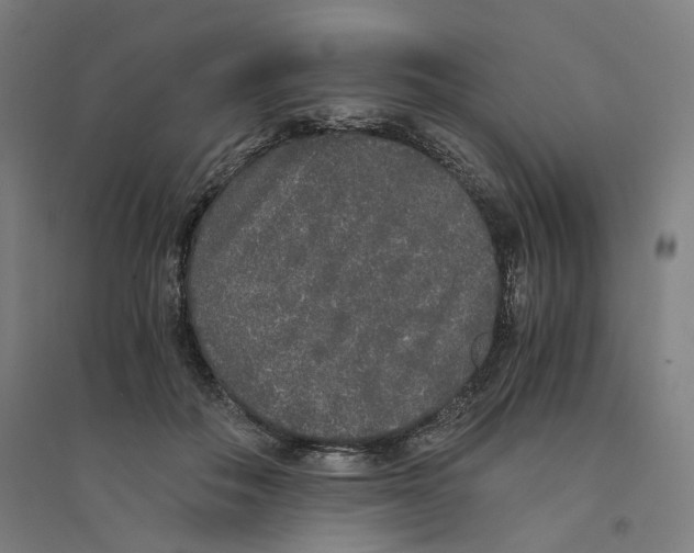 X0000094360506200711301428