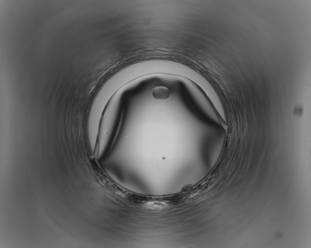 X0000094360508200711301428