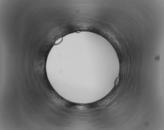 X0000094360509200711301428