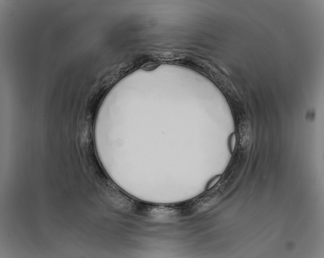 X0000094360515200711301428