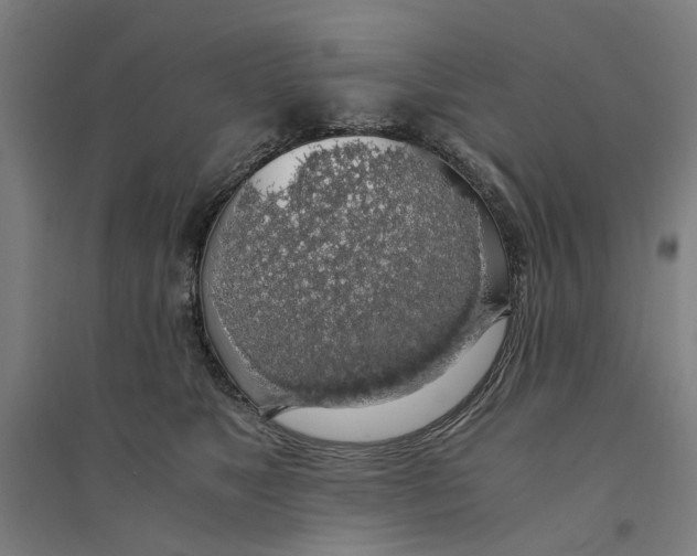 X0000094360517200711301428