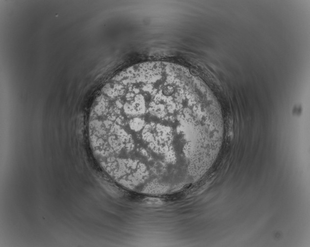 X0000094360519200711301428