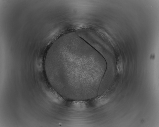 X0000094360520200711301428