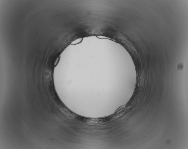 X0000094360521200711301428