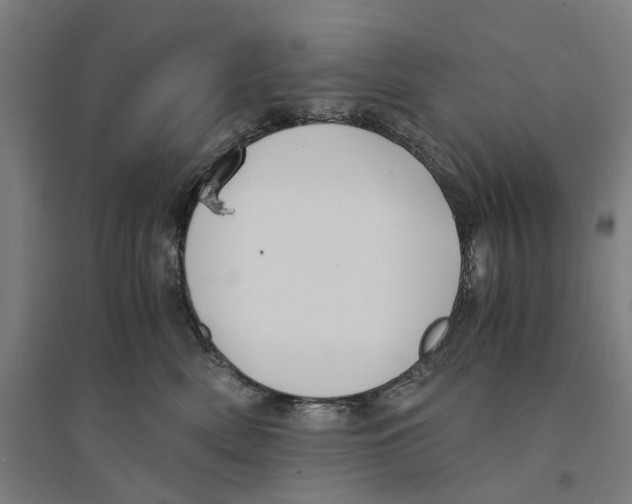 X0000094360522200711301428