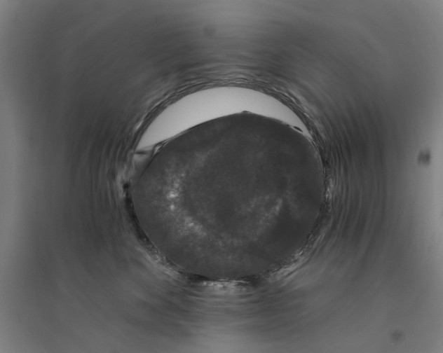 X0000094360524200711301428