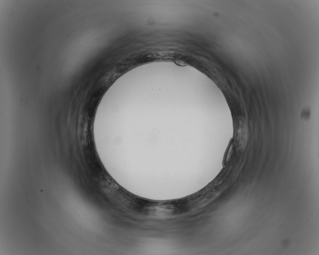 X0000094360525200711301428
