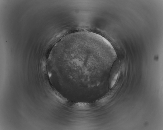 X0000094360526200711301428