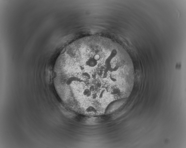 X0000094360527200711301428