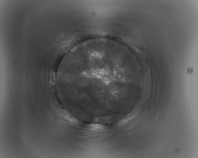X0000094360528200711301428