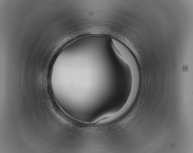 X0000094360530200711301427