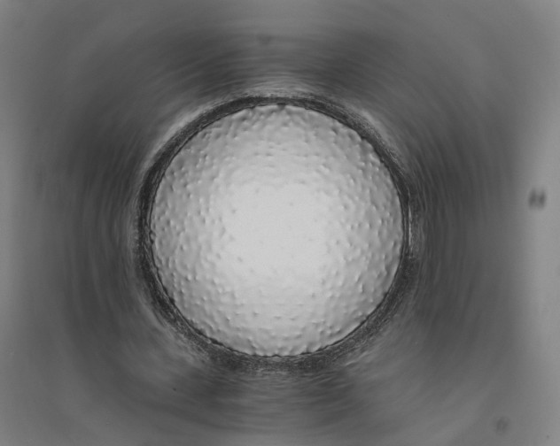 X0000094360531200711301427