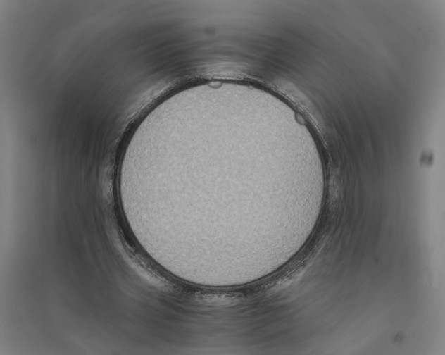 X0000094360533200711301427
