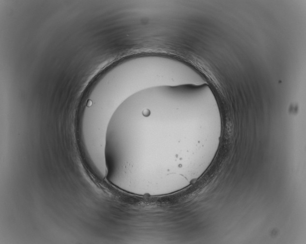 X0000094360534200711301427