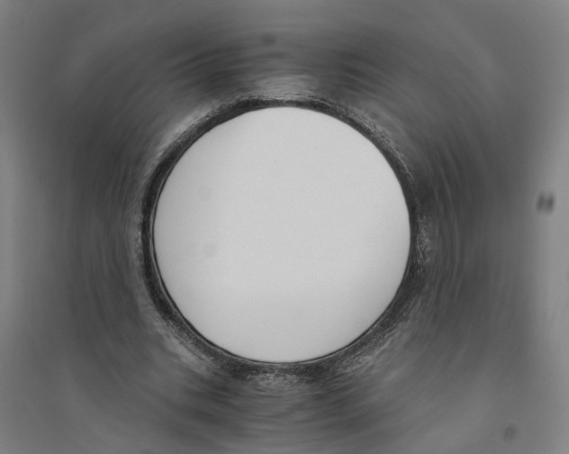 X0000094360535200711301427