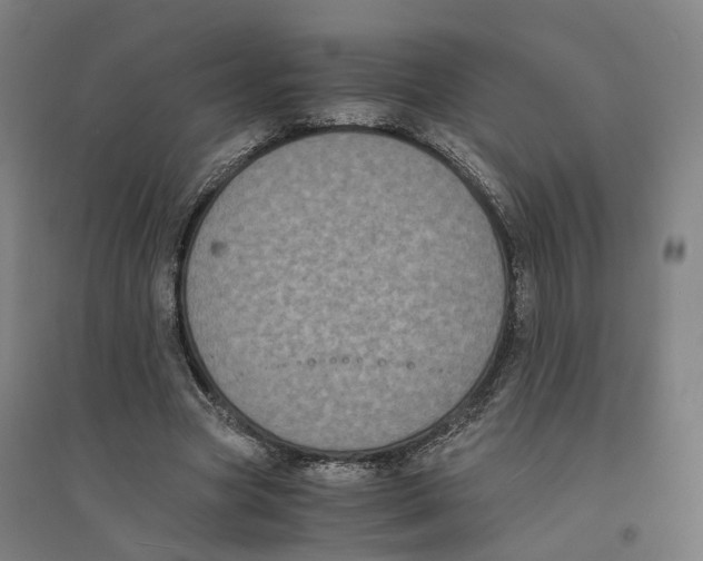 X0000094360537200711301427