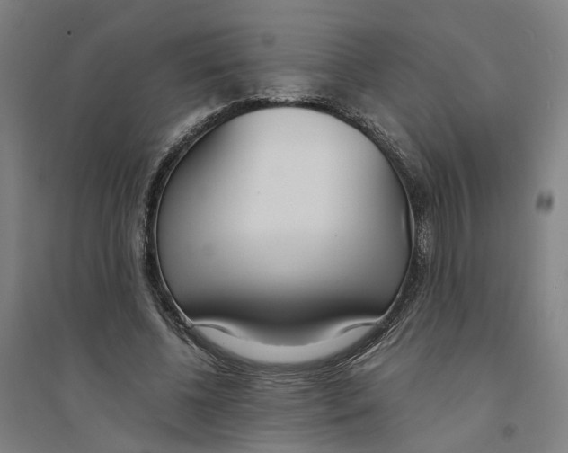 X0000094360540200711301427