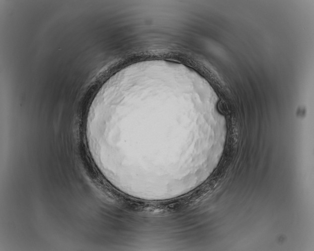 X0000094360542200711301427