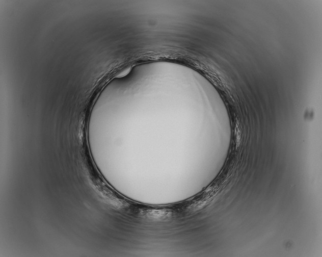 X0000094360546200711301427