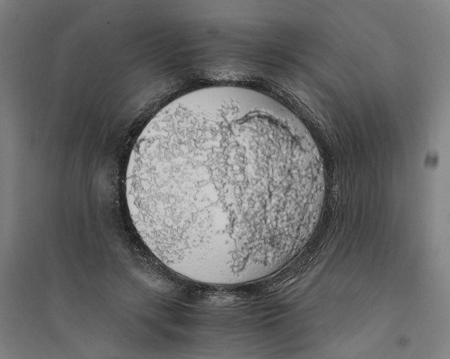 X0000094360547200711301427