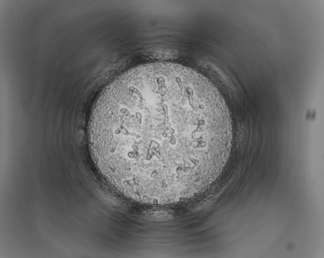 X0000094360553200711301427