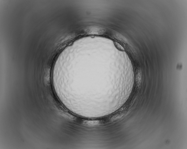 X0000094360554200711301427
