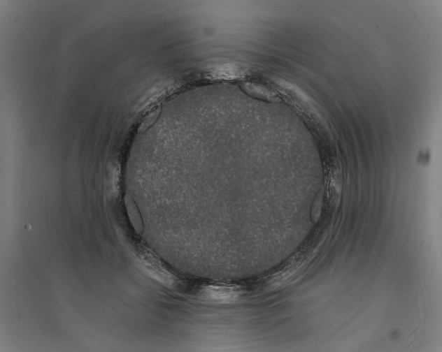 X0000094360556200711301427