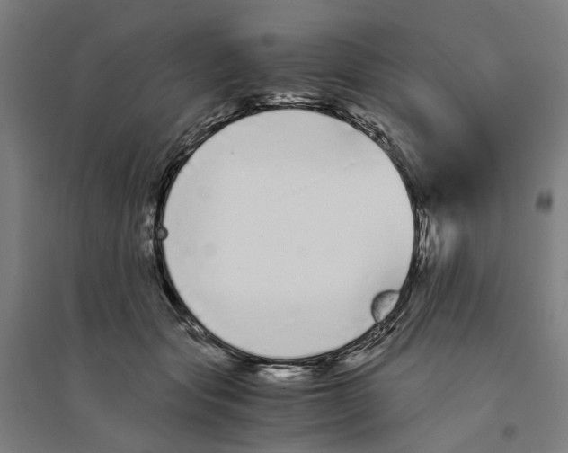 X0000094360557200711301427