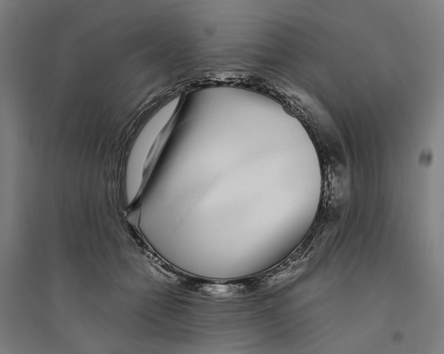 X0000094360558200711301427